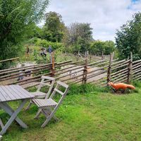 animal figurines in the garden for kids to play at Linnes Rashult in Almhult