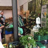 bio veggies and fresh herbs  at BioBazar in Warsaw