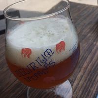 imported beer  at Temictli - Hipodromo in Mexico City