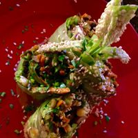 Mexican spring rolls.  at Mexican Radio in Schenectady
