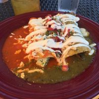 Tofu and wild mushroom enchiladas with red and green sauce at Mexican Radio in Schenectady