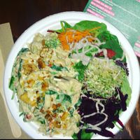 Vegan Truffle Mac & Cheese w/side salad! at Plant Theory in Miami