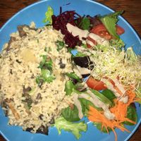 Mushroom Risotto - Daily Special at Plant Theory in Miami