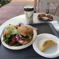   at Plant Theory in Miami