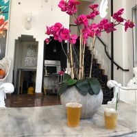 “Kombucha” on tap and a “Kombucha Float.” at Plant Theory in Miami