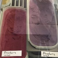 vegan sorbets  at Eldur og Is - Fire and Ice in Reykjavik