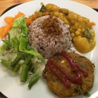 medium sized daily meal with soy pattie, rice and a mild veggie curry at Mennyorszag Szive in Budapest