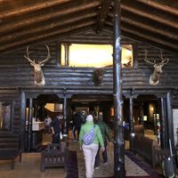 Lobby of El Tovar  at El Tovar & The Side Room in Grand Canyon Village