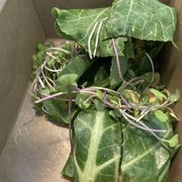 Chickpea lettuce wrap  at Millie's Living Cafe in Lynchburg