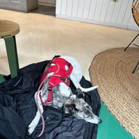   at JuiceBrothers - Van Woustraat in Amsterdam