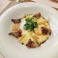  at Baobab in Zaragoza