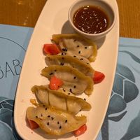   at Baobab in Zaragoza