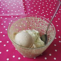 A scoop of vanilla and another scoop of cucumber + mint at Eiskontor Berlin in Berlin