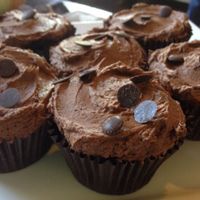 *Vegan* Chocolate Cupcakes with vegan buttercream!  at Bread and Banjo Bakery in Belfast