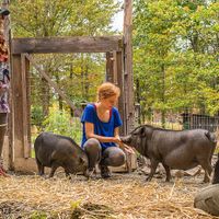 "Meet the Animals" tour. at Wild Earth Farm and Sanctuary in Irvine