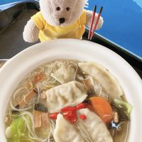 Dumpling soup with Mian Xian $4.50 at Yang Sheng Vegetarian in West Singapore