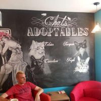 Chalk drawings of the adoptable cats at Cafe Venosa! 3 of these guys already have permanent homes lined up! at Venosa Cafe in Montreal