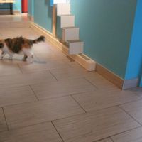 Aoife at Venosa Cafe in Montreal