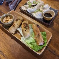 Dumplings & fried spring rolls at Deva in Kampot