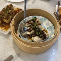 Spicy herb dumplings / crispy radish tofu   at Yun Shan Ge Vegetarian House - Penang St in Penang