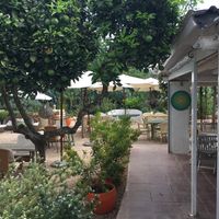 Outside seating  at EcoCentro in Ibiza