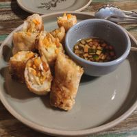 Spring rolls at Dandy's Organic Cafe in Hong Kong Island