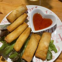 Spring rolls   at Loving Hut in Amsterdam