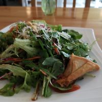 salad at Loving Hut in Amsterdam