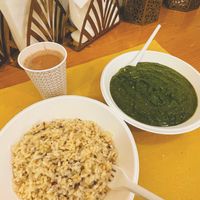 vegan tofu palak paneer at Vega Food in Rome