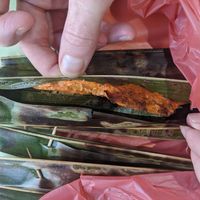 The otah at Victor Veggie 味特素食 in Central Singapore