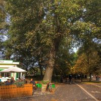 The Loving Hut, The Level, Brighton at Loving Hut Cafe - St Peter's Place in Brighton