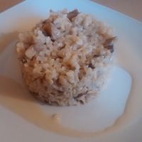 Mushroom rissotto at La Retama in Zaragoza