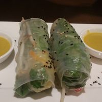 Vietnamese spring rolls  at Velvet Leaf in Berlin