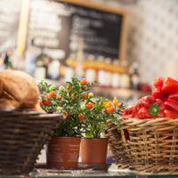 Part of the kitchen is open at Teresa Carles Cocina Vegetariana in Barcelona