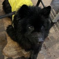  at Teresa Carles Cocina Vegetariana in Barcelona