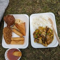 Vegan selection and Mushroom Curry with Rice at Anna Loka in Cardiff