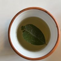 Mate de coca  at El Jardín de Jazmín in Lima