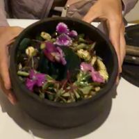   at El Jardín de Jazmín in Lima