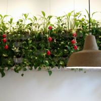 inside at Zyzna in Wroclaw