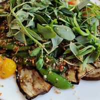 Eggplant with fennel and veggies at Moio Beach in Oostburg