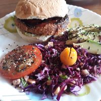 "Chimborazo" volcano burger with salad without cheese at Mishqui Quinde Sweet Hummingbird in Mindo