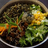 Buddha Bowl at Bhajan Cafe in Riga