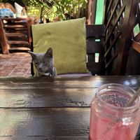You will have Company for lunch 🥰  at Cape Fruit in Santa Maria