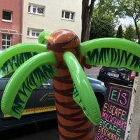 ;) at Huber in Freiburg