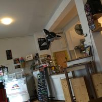 inside at Huber in Freiburg