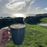   at Guardhouse Cafe in Brixham