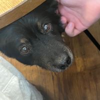  at Naspolya Nassolda in Budapest