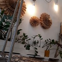  at Naspolya Nassolda in Budapest