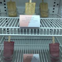 Ice lollies  at Naspolya Nassolda in Budapest