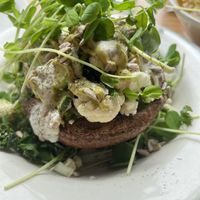 The Dark Side of the Shroom   at Judahlicious in San Francisco